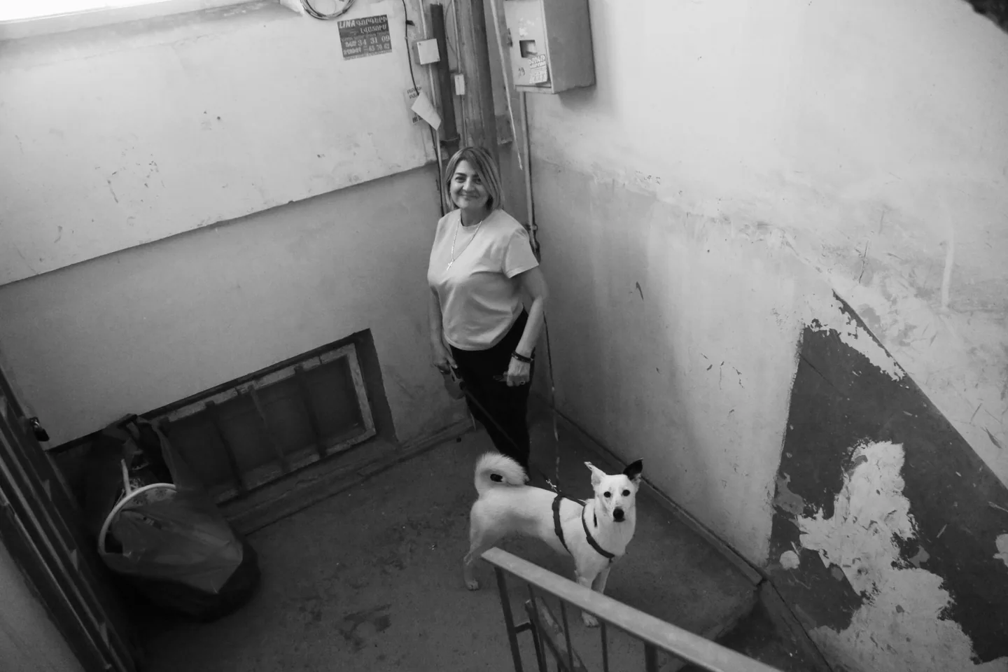 Behind the scenes photo 39
